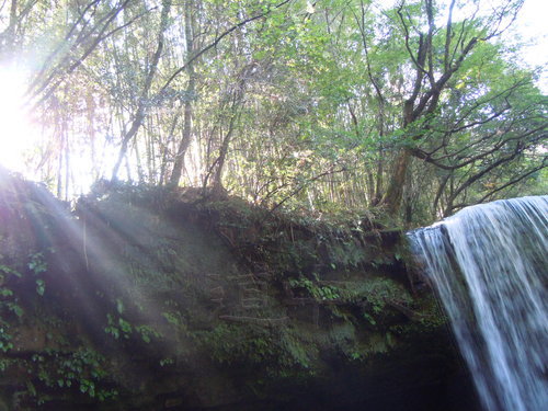 DSCN1490