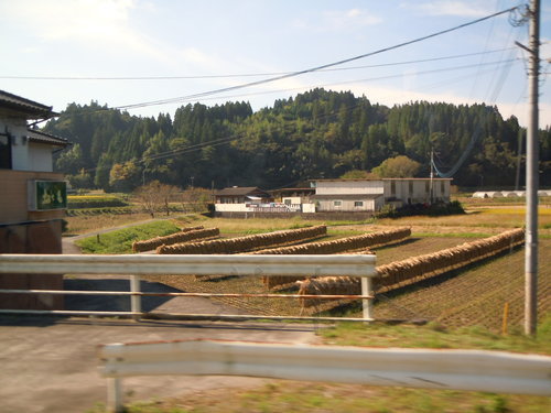 DSCN1492