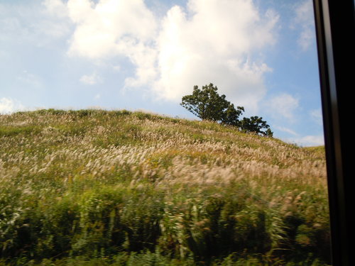 DSCN1498