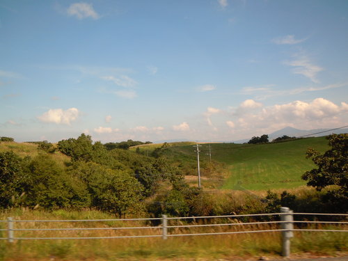 DSCN1506