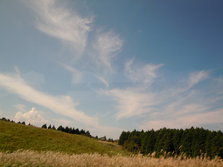 DSCN1528