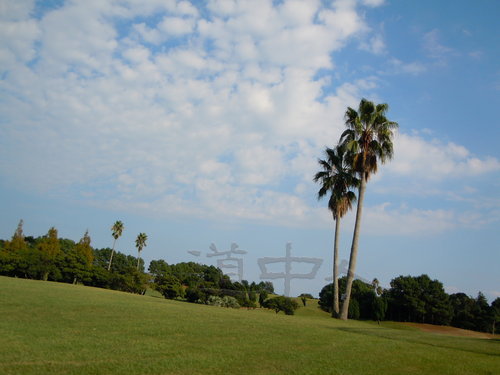 DSCN1625