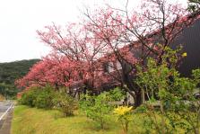 thumb_IMG_5540_1024