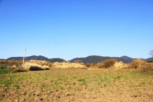 thumb_IMG_5689_1024