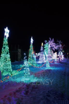 DSC01950