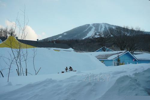 DSC02487
