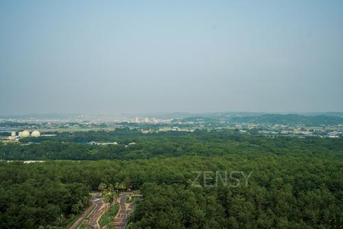 DSC00492