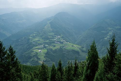 DSC01205