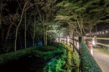 DSC01532-HDR