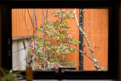 _DSC3826