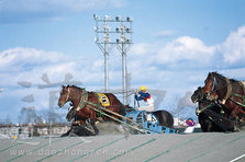 ばんえい競馬
