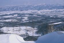 h005