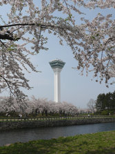 P1010031