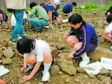 熊本県：化石発掘体験１Z