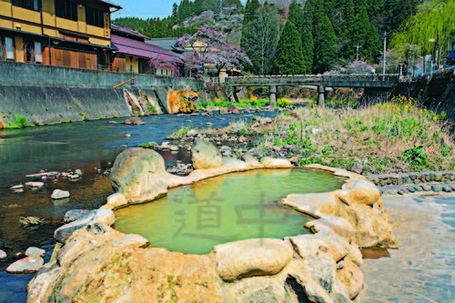 大＿長湯温泉カニ湯Z