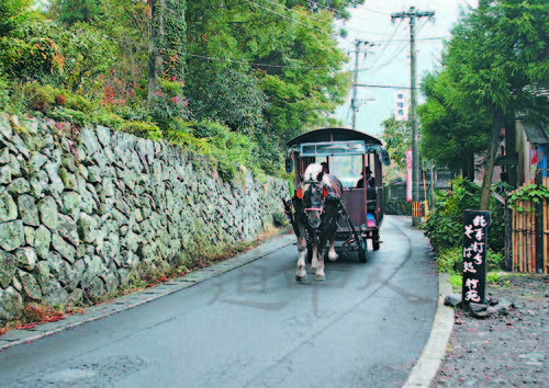 大＿由布院辻馬車Z