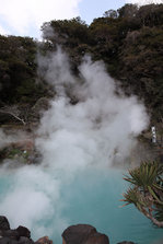 IMG_9477