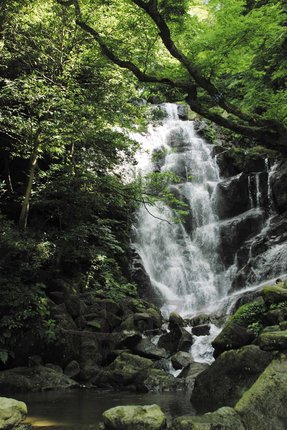 福_15白糸の滝.JPG