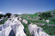 福_28平尾台カルスト台地.JPG