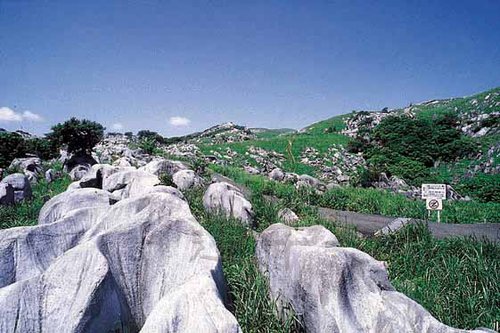福_28平尾台カルスト台地.JPG