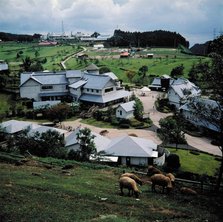 佐_12どんぐり村.JPG