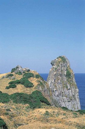 長_19猿岩.JPG