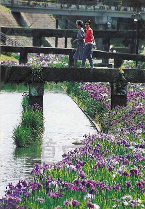 熊_13高瀬裏川.JPG