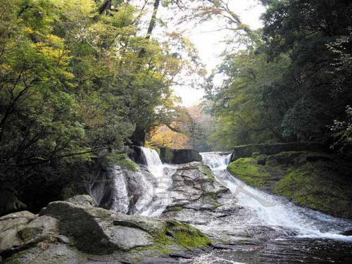熊_16菊池市旭志.JPG