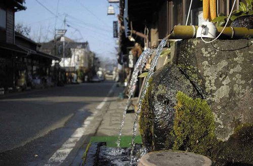 熊_17水基巡り.JPG