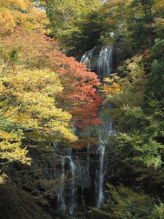 宮_10うのこの滝・白滝.JPG