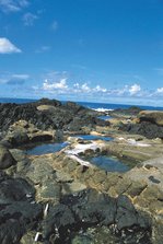 鹿_11温泉.JPG