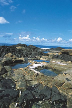 鹿_11温泉.JPG