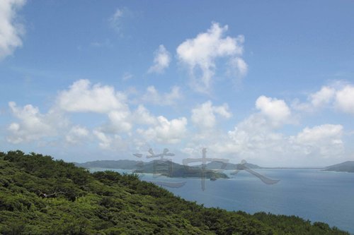鹿_29蒲生崎観光公園.JPG