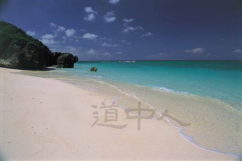 鹿_58兼母海岸.JPG