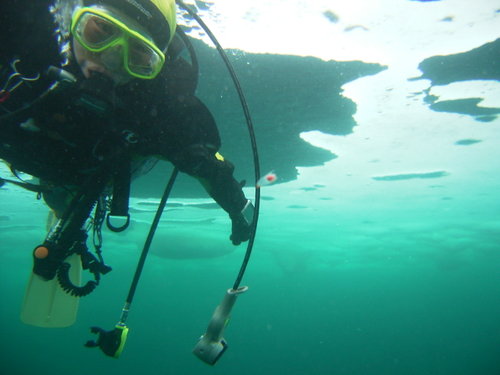 流氷ダイブ (8)