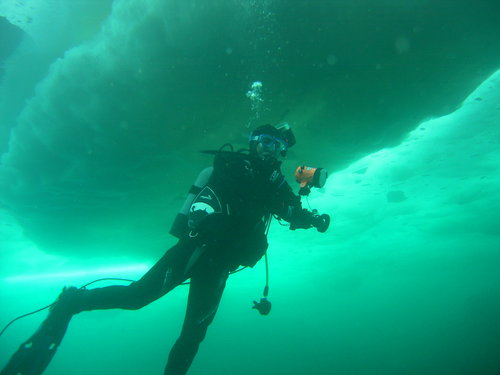 流氷ダイブ (9)