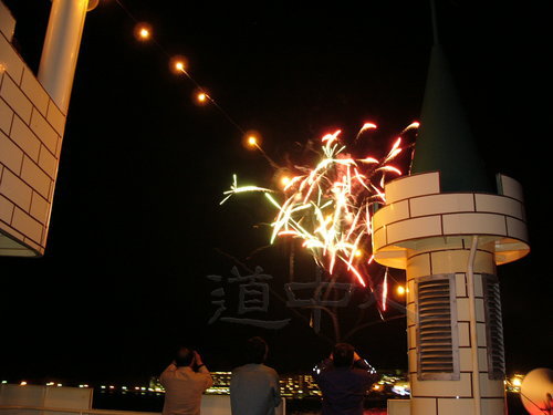 P1000676
