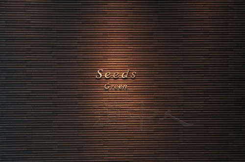 Seeds-2.jpg