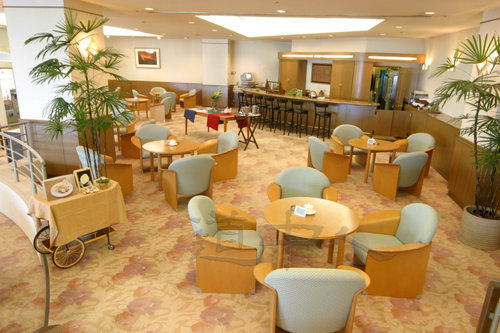 Tea Lounge Azalea 2.JPG