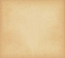 back01.jpg