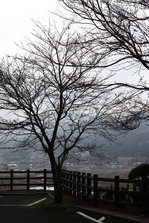 IMG_9667.jpg