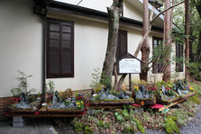 IMG_9679.jpg