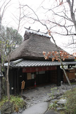 IMG_9687.jpg