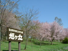 asahigaoka_park