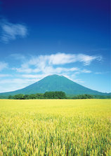 Mt. Yotei.jpg