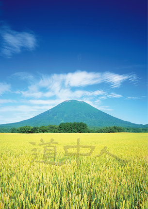 Mt. Yotei.jpg