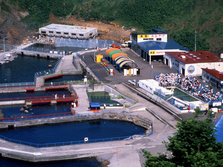 小樽水族馆