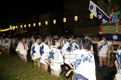 DSC_2009.jpg