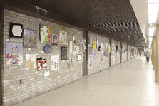 IMG_8153_opt