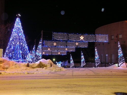 イルミネーション８